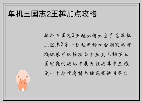单机三国志2王越加点攻略