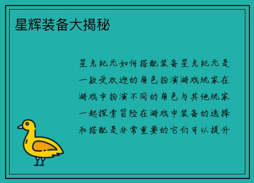 星辉装备大揭秘