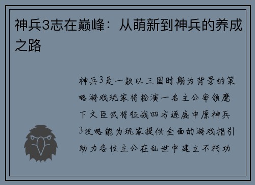 神兵3志在巅峰：从萌新到神兵的养成之路